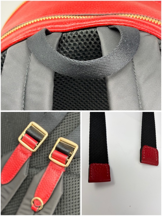 Coach Court Backpack 5666 Red Pebble Leather Gold Zip Mini Daypack Bookbag main image 5